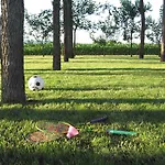 Bed & Breakfast Borgo Arcadia Poiana Maggiore